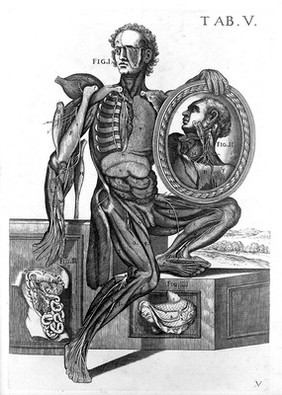 Tabulae anatomicae a ... P.B. ... delineatae, & egregie aeri incisae. Nunc primum prodeunt / et a Cajetano Petrioli ... notis illustratae.