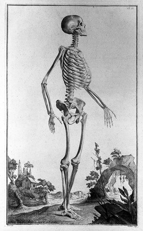 Traité d'ostéologie, traduit de l'anglois de M. Monro, professeur d'anatomie, et de la Société Royale d'Edimbourg: où l'on a ajouté des planches en taille-douce, qui représentent au naturel tous les os de l'adulte et du foetus, avec leurs explications / Par M. Sue, professeur & démonstrateur d'anatomie aux Ecoles Royales de Chirurgie.