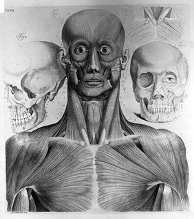 P. Mascagni, "Anatomia per uso...", 1816