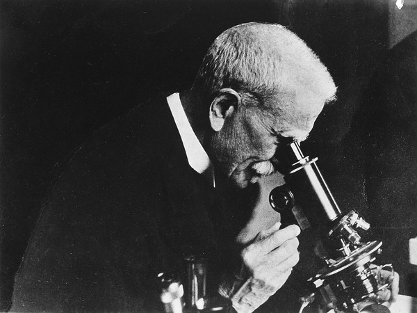 Ettore Marchiafava. Photograph.