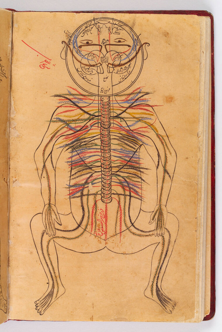 激安の わかりやすい核医学 Nuclea… Clinical of Textbook = 健康 