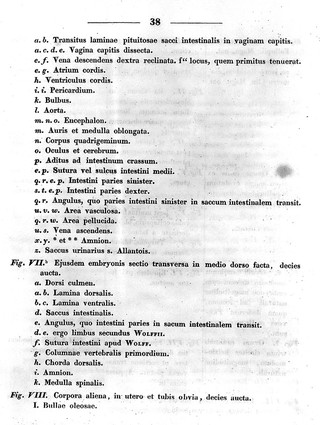 De ovi mammalium et hominis genesi. Epistolam ad Academiam Imperialem Scientiarum Petropolitanam / dedit Carolus Ernestus a Baer.