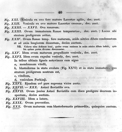 De ovi mammalium et hominis genesi. Epistolam ad Academiam Imperialem Scientiarum Petropolitanam / dedit Carolus Ernestus a Baer.