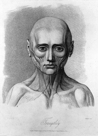 An écorché face showing the state of the facial muscles during relaxation. Stipple engraving by H. Singleton (?) after G.T. Stubbs after G. Stubbs, 1815.