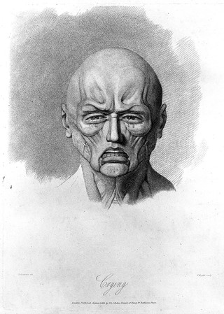 An écorché face weeping, showing the muscles involved. Stipple engraving by H. Singleton (?) after G.T. Stubbs after G. Stubbs, 1815.