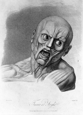 An écorché face showing the muscles involved in the expression of terror. Stipple engraving by H. Singleton (?) after G.T. Stubbs after G. Stubbs, 1815.