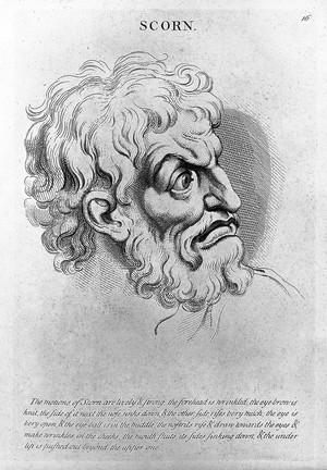 view "Scorn" from le Brun, Heads. Representing the various passions of the soul..., circa 1760