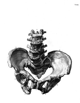 A sett of anatomical tables, with explanations, and an abridgment, of the practice of midwifery, with a view to illustrate a treatise on that subject, and collection of cases / By William Smellie, M.D.