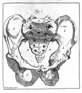 Operationes chirurgicae novum lumen exhibentes obstetricantibus, quo fideliter manifestatur ars obstetricandi. Et quidquid ad eam requiritur ... / [Hendrik van Deventer].