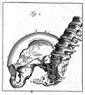 Operationes chirurgicae novum lumen exhibentes obstetricantibus, quo fideliter manifestatur ars obstetricandi. Et quidquid ad eam requiritur ... / [Hendrik van Deventer].