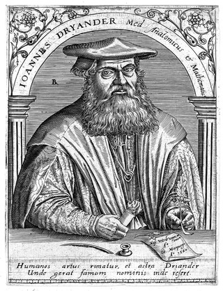 Portrait of Johannes Dryander