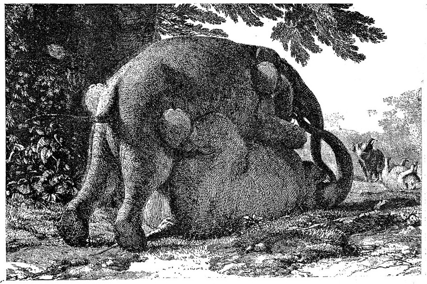 Les accouchements dans les beaux-arts, dans la littérature et au théatre / [Gustave Joseph Witkowski].