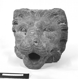 Colossal lion's head