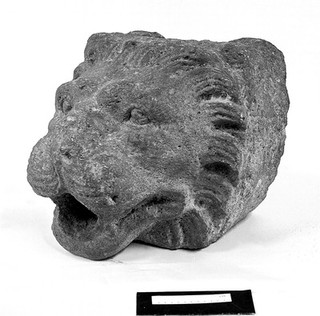 Colossal lion's head