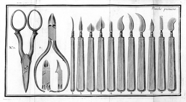 Chiropodologia, or, A scientific enquiry into the causes of corns, warts, onions, and other painful or offensive cutaneous excrescences : with a detail of the most successful methods of removing all deformities of the nails; and of preserving, or restoring, to the feet and hands their natural soundness and beauty. The whole ... systematically confirmed by the practice and experience of D. Low, chiropodist.