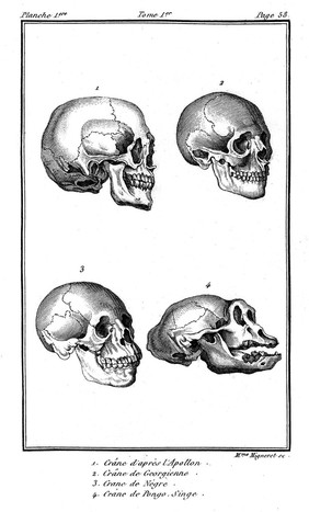 Histoire naturelle du genre humain ... / [J.-J. Virey].