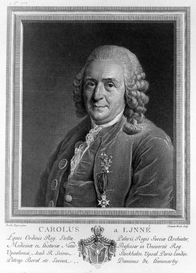 Carolus Linnaeus. Line engraving by C.C. Bervic, 1779, after A. Roslin, 1775.