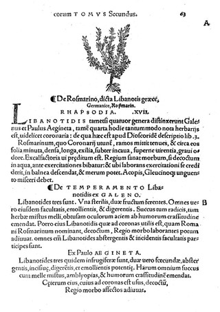 Herbarium / Oth. Brvnfelsii ; tomis tribvs exacto tandem studio, opera & ingenio, candidatis medicinae simplicis absolutum. Quorum contenta, index cuiusquam tomorum suo loco explicat.