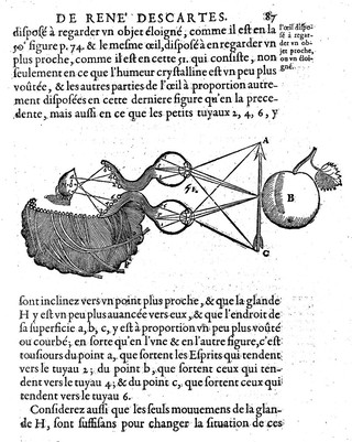 L'homme ... et un traitté de la formation du fœtus. Du mesme autheur / Avec les remarques de Louys de la Forge ... sur le traitté de l'homme.