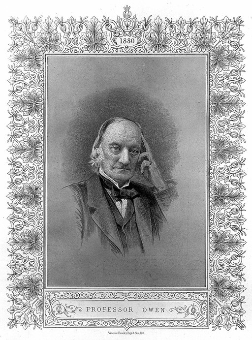 Lithograph: portrait of Sir R. Owen, head