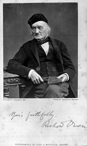 Sir Richard Owen. Photograph by Lock & Whitfield.