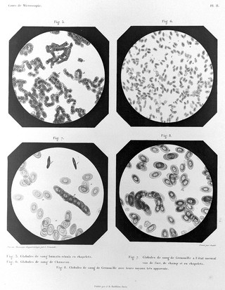 Cours de microscopie complémentaire des études médicales ... / par Al. Donné.