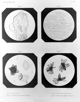 Cours de microscopie complémentaire des études médicales ... / par Al. Donné.