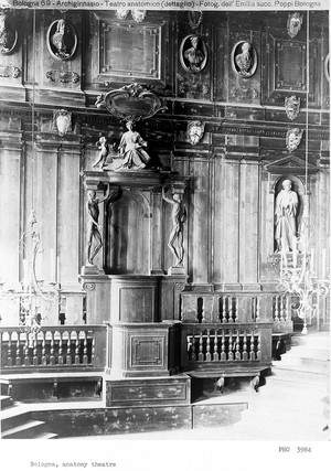 view Archiginnasio, Bologna: the anatomy theatre. Photograph by Fotografia dell'Emilia, 19---.