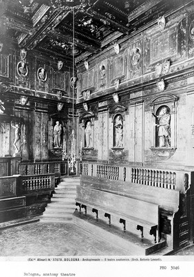 Archiginnasio, Bologna: the anatomy theatre. Photograph by Alinari, 19---.