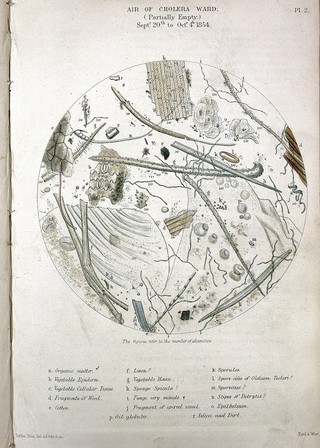 Appendix to report of the committee for scientific inquiries in relation to the cholera-epidemic of 1854.