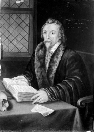 Portrait of William Harvey [1578 - 1657], surgeon