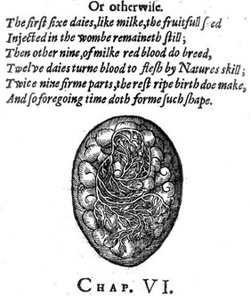 The expert midwife, or an excellent and most necessary treatise of the generation and birth of man ... Also the causes, signes, and various cures, of the most principall maladies and infirmities incident to women. Six bookes / compiled in Latine by ... James Rueff ... and now translated into English.