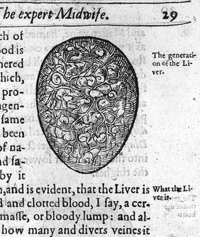 The expert midwife, or an excellent and most necessary treatise of the generation and birth of man ... Also the causes, signes, and various cures, of the most principall maladies and infirmities incident to women. Six bookes / compiled in Latine by ... James Rueff ... and now translated into English.