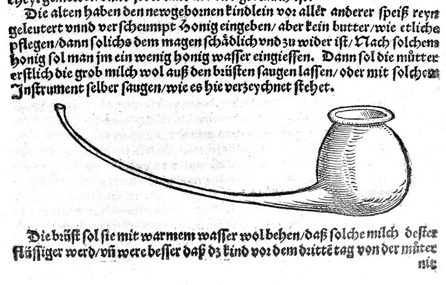 [Frawen Rosengarten. Von vilfaltigen sorglichen Zufällen und gebrechen der Mütter und Kinder, so inen vor, inn, unnd nach der Geburt begegnen mögenn. Dabei auch aller Bericht der Pflege unnd Wartung, Frawen, Jungfrawen, und Kindern dienlich und von nöten. New ann Tag geben.] / [Walther Hermann Ryff].