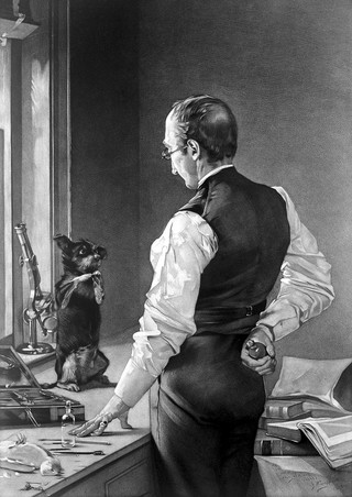 A dog on a laboratory bench sits up and begs the prospective vivisector for mercy. Engraving by C.J. Tomkins, 1883, after a painting by J. McClure Hamilton.