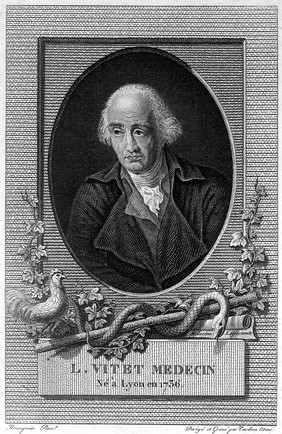 Louis Vitet. Line engraving by Tardieu, senior after P. A. Hennequin.