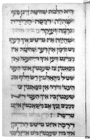 view Text from Precepts of slaughter (in Yiddish)