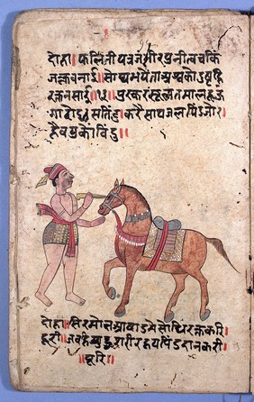 Eye operation on horse, Hindi, 18th C