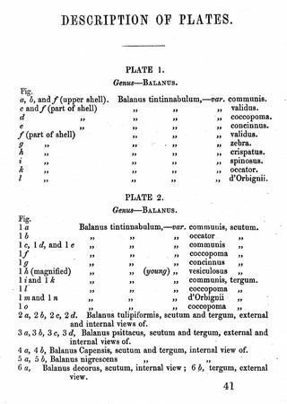 A monograph on the sub-class Cirripedia : with figures of all the species / by Charles Darwin.