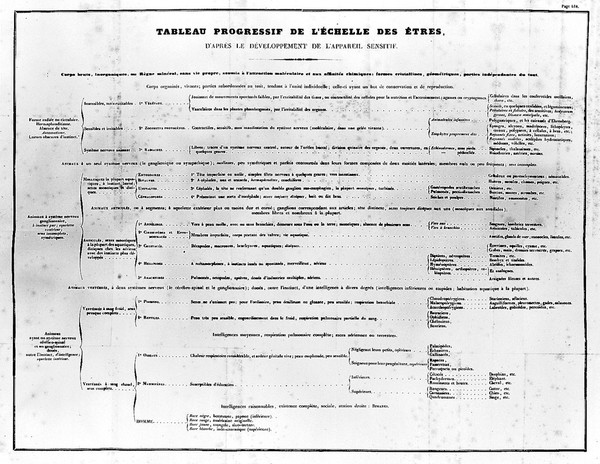 De la physiologie dans ses rapports avec la philosophie / [J.-J. Virey].