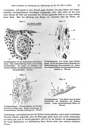 Gesammelte Werke / von Robert Koch ; unter Mitwirkung von G. Gaffky und E. Pfuhl herausgegeben von J. Schwalbe.