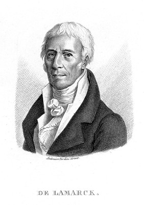 Jean Baptiste Pierre Antoine de Monet Lamarck. Stipple engraving by A. Tardieu, 1821, after J. Boilly.