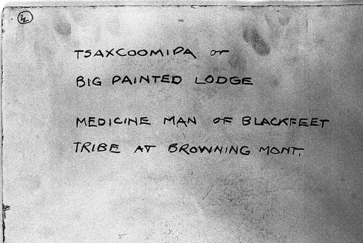 Portrait of Tsaxcoomipa or Big Painted Lodge