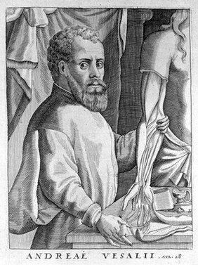 Andreas Vesalius. Line engraving, 1600.