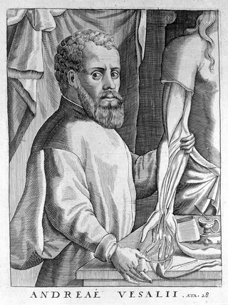 Andreas Vesalius. Line engraving, 1600.