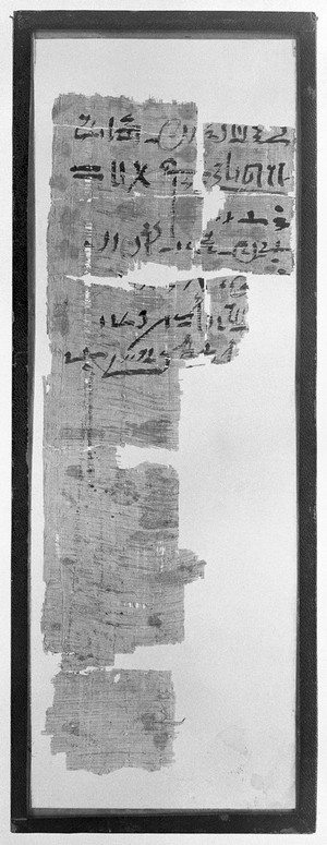 view Egyptian Papyrus, Hieratic document of late 2000 BC
