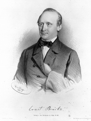 view Lithograph: portrait of E. W. von Brucke;