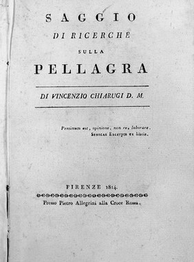 Saggio di ricerche sulla pellagra / Di Vincenzio Chiarugi.