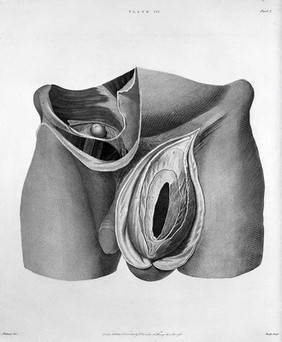 The anatomy and surgical treatment of abdominal hernia. In two parts / By Sir Astley Cooper, bart.