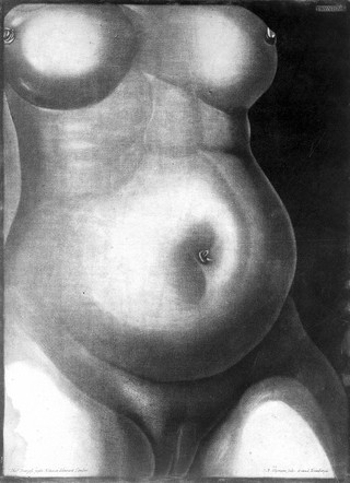 Demonstratio uteri praegnantis mulieris cum foetu ad partum maturi tabulis ... ea methodo dispositis, ut hujus status gravidi amplam ob oculos ideam collecent ... / Ad exemplar Londinense translata a D.C.C. Schmidel. In aes incisa .. a J.M. Seligmanno ... Abbildung der Gebähr-Mutter aus einer schwangern Frau, etc.